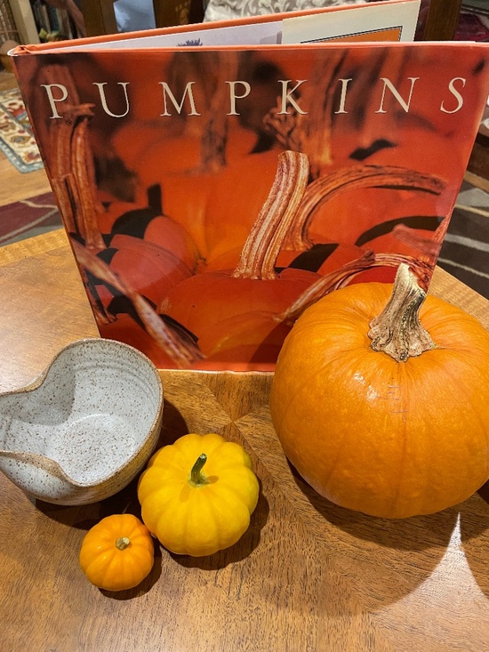 MetroBooks Other - Punmpkins:  A Photographic Celebration - Hardbound